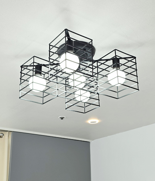 루이모 5등 LED방조명 안방조명 방전등 천장조명